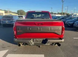 2017 FORD F150 RAPTOR
