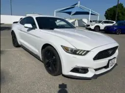 Ford Mustang ECO 2016