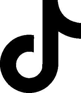 iktok-icon-carmexio-autos