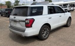 2018 Ford Expedition Limited 3.5 Ecoboost V6 RWD