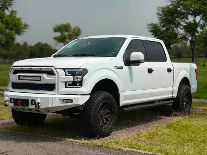 2017 Ford F-150 XLT - vista trasera