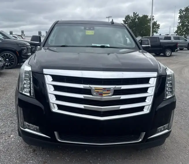 2019 Cadillac Escalade ESV Luxury